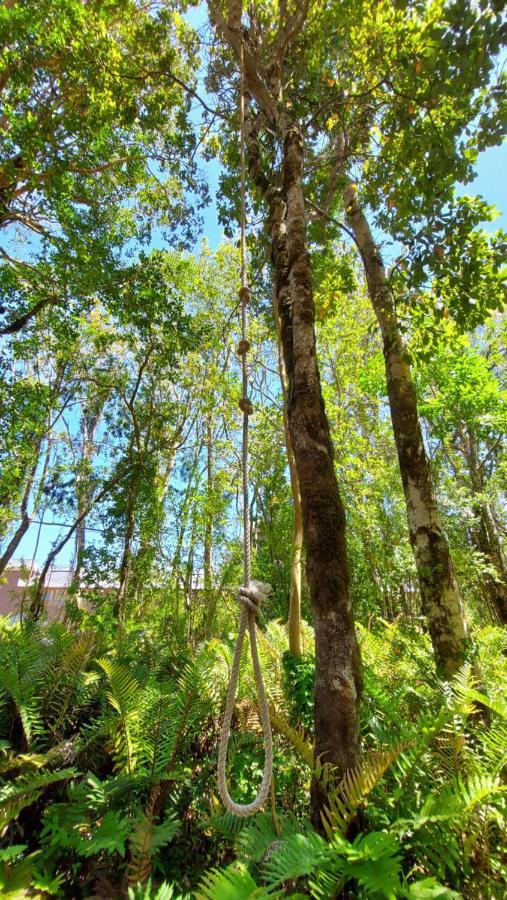 Hotel Lodge Las Cascadas Puerto Clocker Luaran gambar