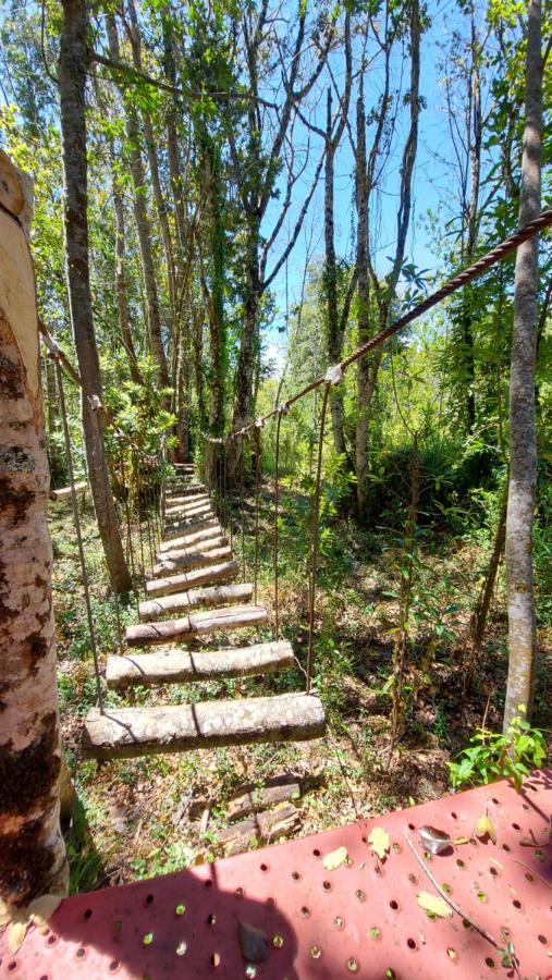Hotel Lodge Las Cascadas Puerto Clocker Luaran gambar