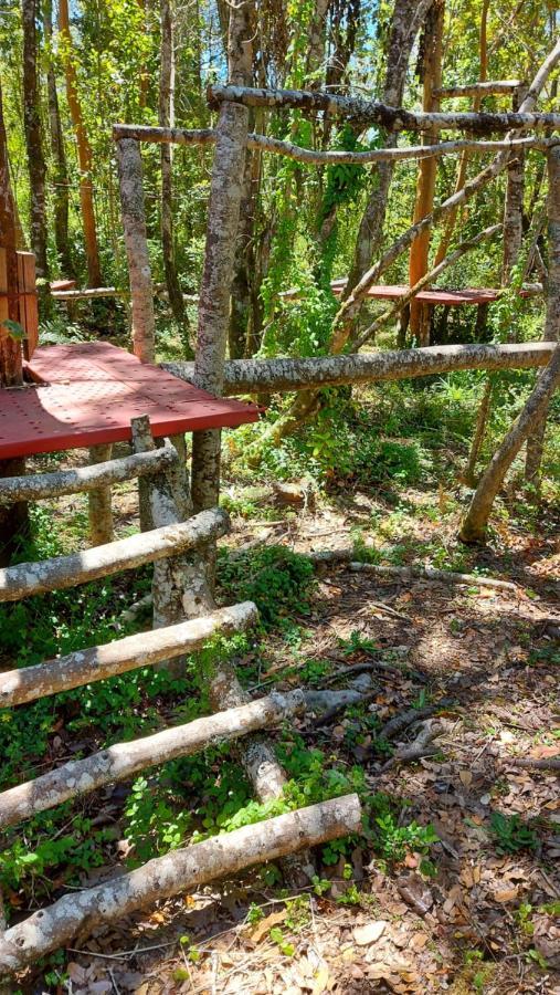 Hotel Lodge Las Cascadas Puerto Clocker Luaran gambar