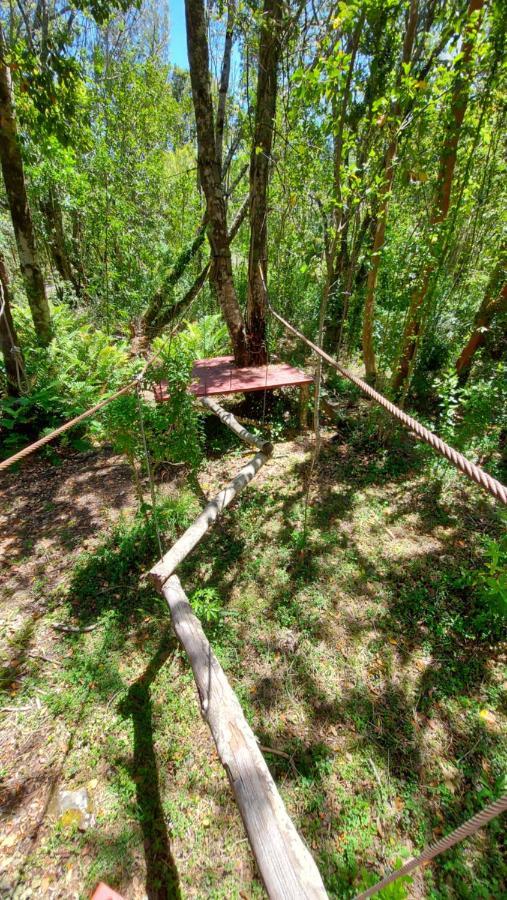 Hotel Lodge Las Cascadas Puerto Clocker Luaran gambar