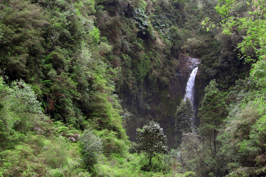 Hotel Lodge Las Cascadas Puerto Clocker Luaran gambar