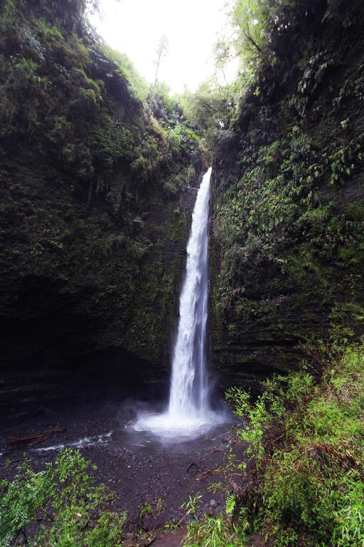 Hotel Lodge Las Cascadas Puerto Clocker Luaran gambar